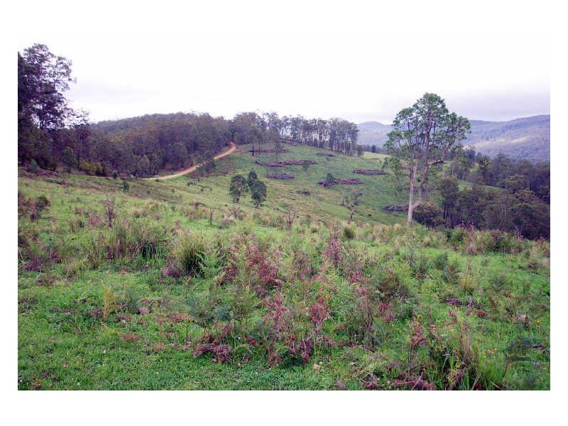 Cooplacurripa NSW 2424
