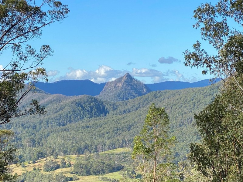 Lot 21/ 1843 Comboyne Road, Killabakh NSW 2429