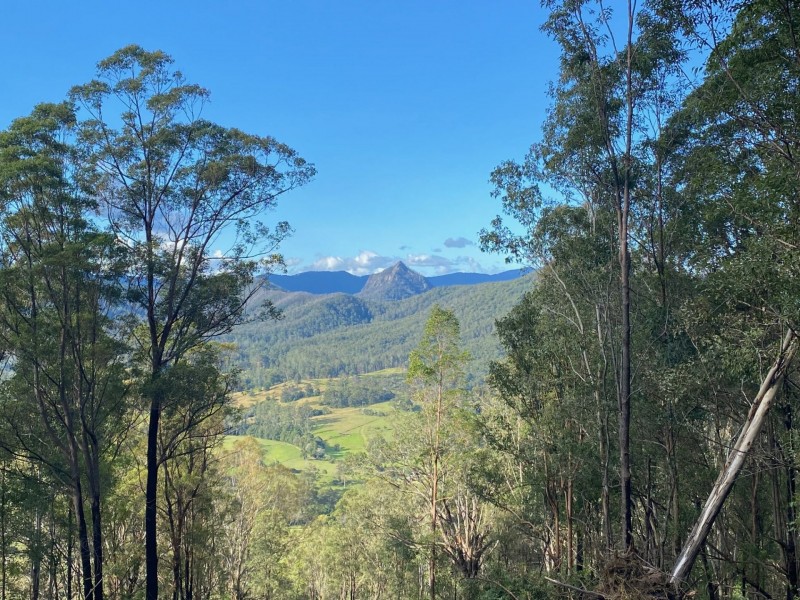 Lot 21/ 1843 Comboyne Road, Killabakh NSW 2429
