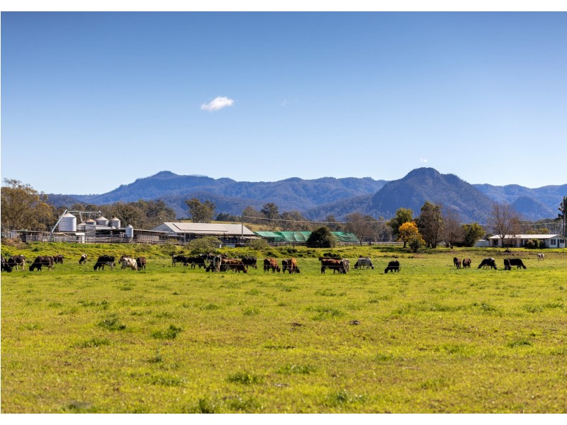 876 Upper Lansdowne Road, Upper Lansdowne NSW 2430