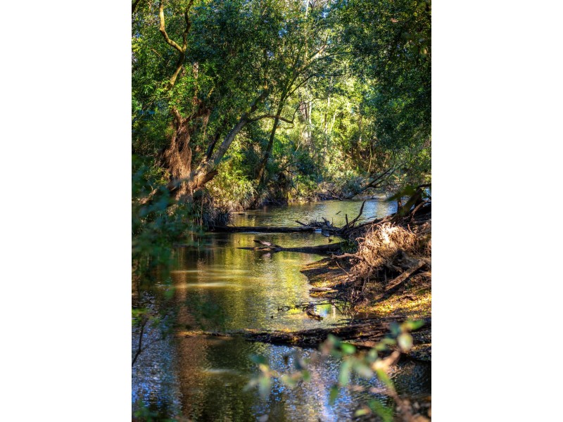 876 Upper Lansdowne Road, Upper Lansdowne NSW 2430