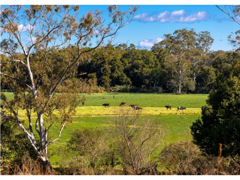 876 Upper Lansdowne Road, Upper Lansdowne NSW 2430