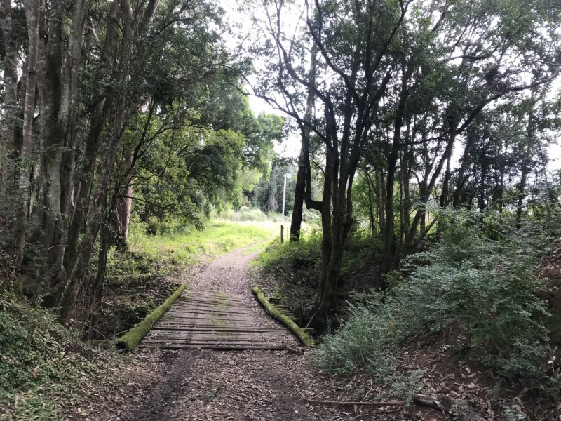 1006 Hannam Vale Road, Hannam Vale NSW 2443