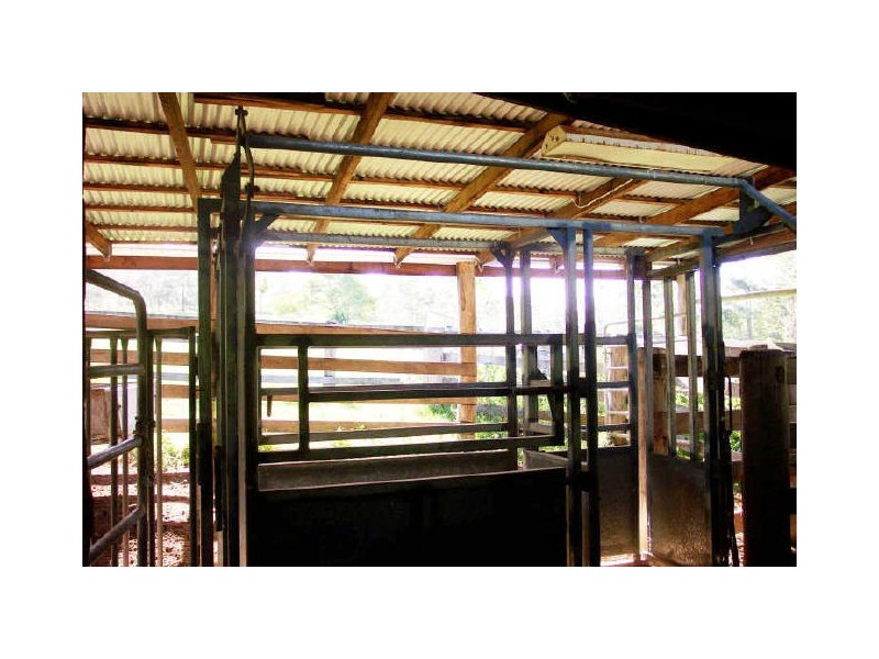 Caparra NSW 2429