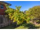 6 Gollan Street, Wingham NSW 2429