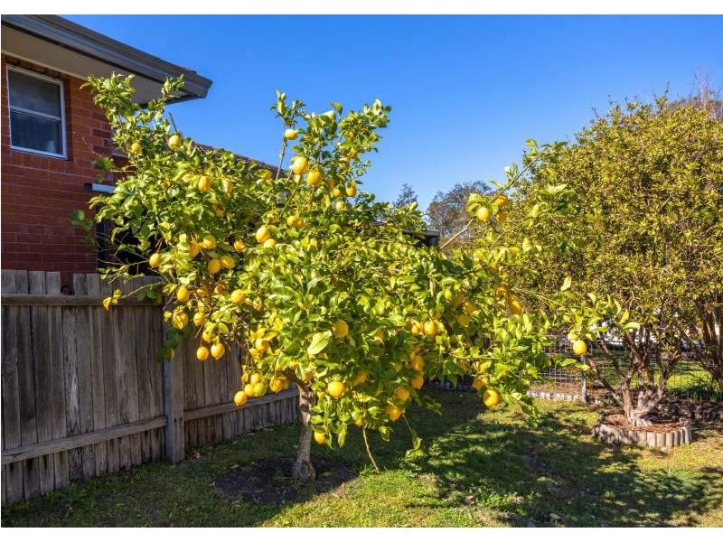 6 Gollan Street, Wingham NSW 2429