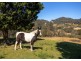 1473 Mooral Creek Road, Mooral Creek NSW 2429