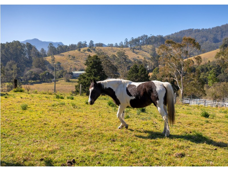 1473 Mooral Creek Road, Mooral Creek NSW 2429