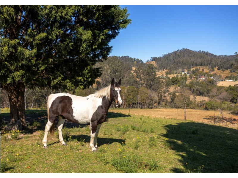 1473 Mooral Creek Road, Mooral Creek NSW 2429