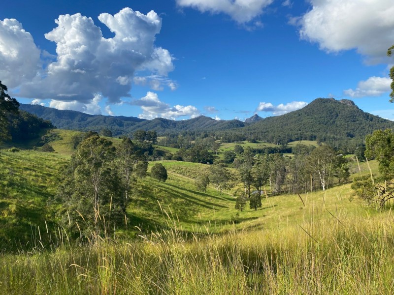 Lot 23/1843 Comboyne Road, Killabakh NSW 2429