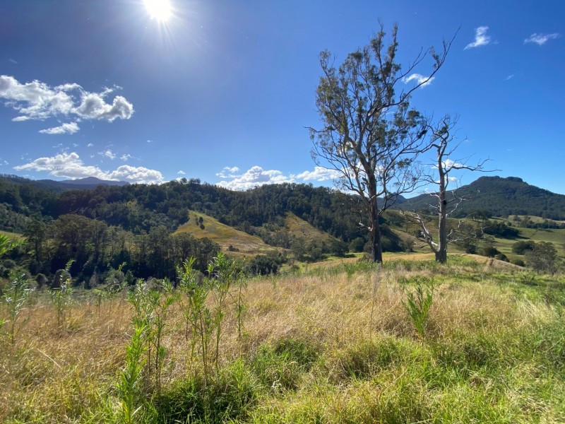Lot 23/1843 Comboyne Road, Killabakh NSW 2429