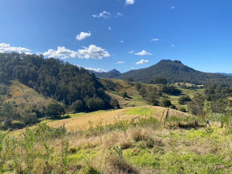 Lot 23/1843 Comboyne Road, Killabakh NSW 2429