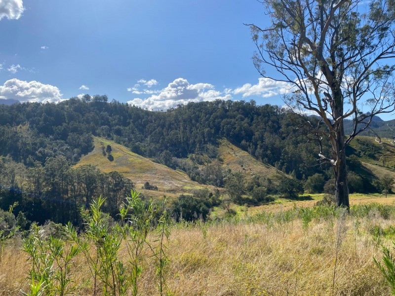 Lot 23/1843 Comboyne Road, Killabakh NSW 2429
