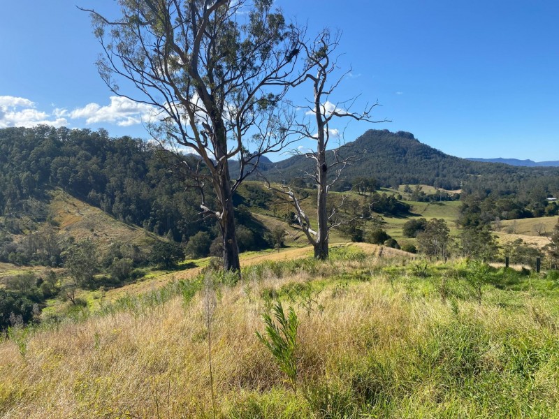 Lot 23/1843 Comboyne Road, Killabakh NSW 2429