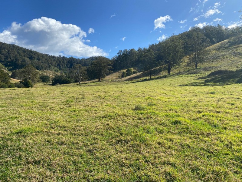 Lot 23/1843 Comboyne Road, Killabakh NSW 2429