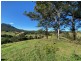 Lot 24/1843 Comboyne Road, Killabakh NSW 2429