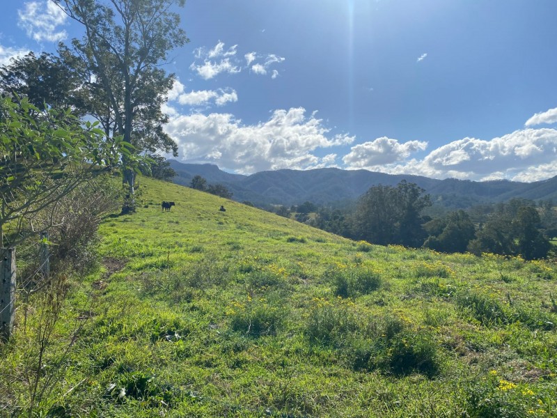 Lot 24/1843 Comboyne Road, Killabakh NSW 2429