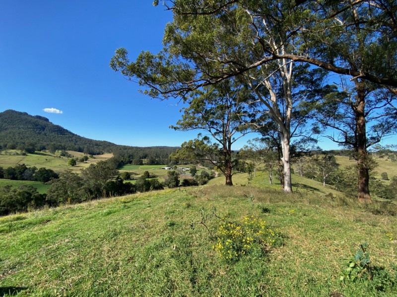 Lot 24/1843 Comboyne Road, Killabakh NSW 2429
