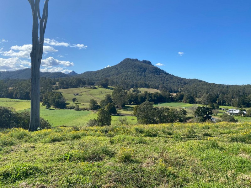 Lot 24/1843 Comboyne Road, Killabakh NSW 2429