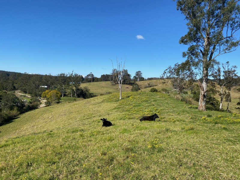 Lot 24/1843 Comboyne Road, Killabakh NSW 2429