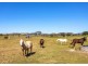 598 Gloucester Road, Killawarra NSW 2429