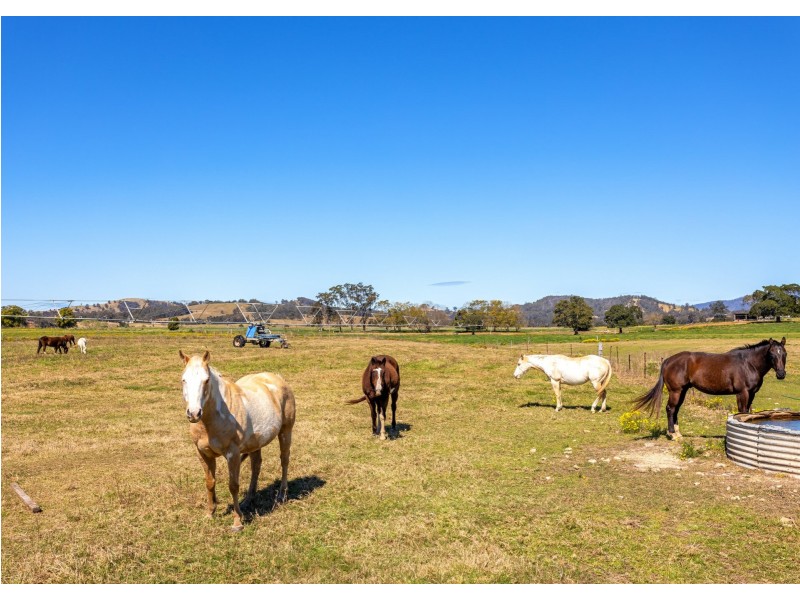 598 Gloucester Road, Killawarra NSW 2429
