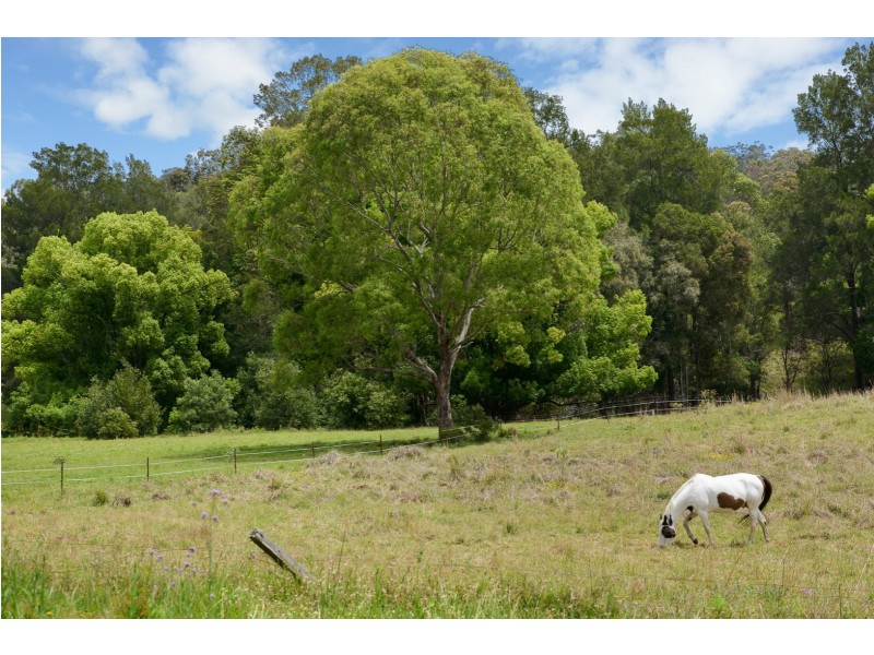 18 Red Gully Road, Burrell Creek NSW 2429