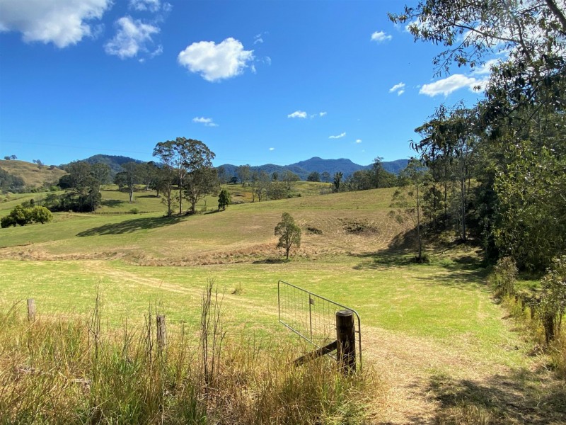 Lot 8 Alfred Road, Killabakh NSW 2429