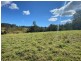 Lot 8 Alfred Road, Killabakh NSW 2429