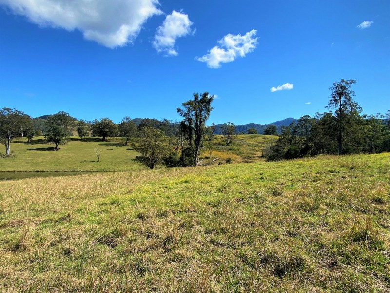 Lot 8 Alfred Road, Killabakh NSW 2429