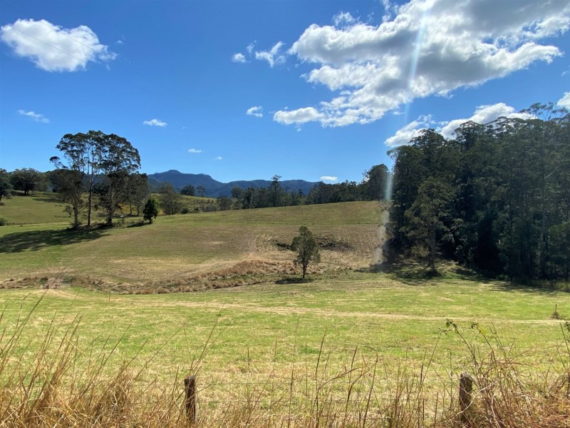 Lot 8 Alfred Road, Killabakh NSW 2429