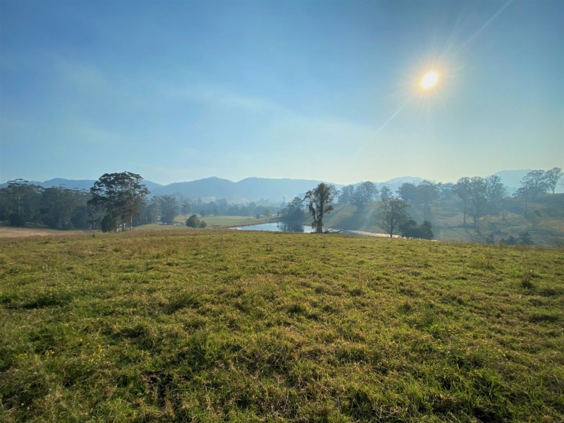 Lot 8 Alfred Road, Killabakh NSW 2429