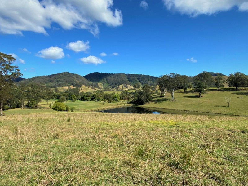 Lot 8 Alfred Road, Killabakh NSW 2429