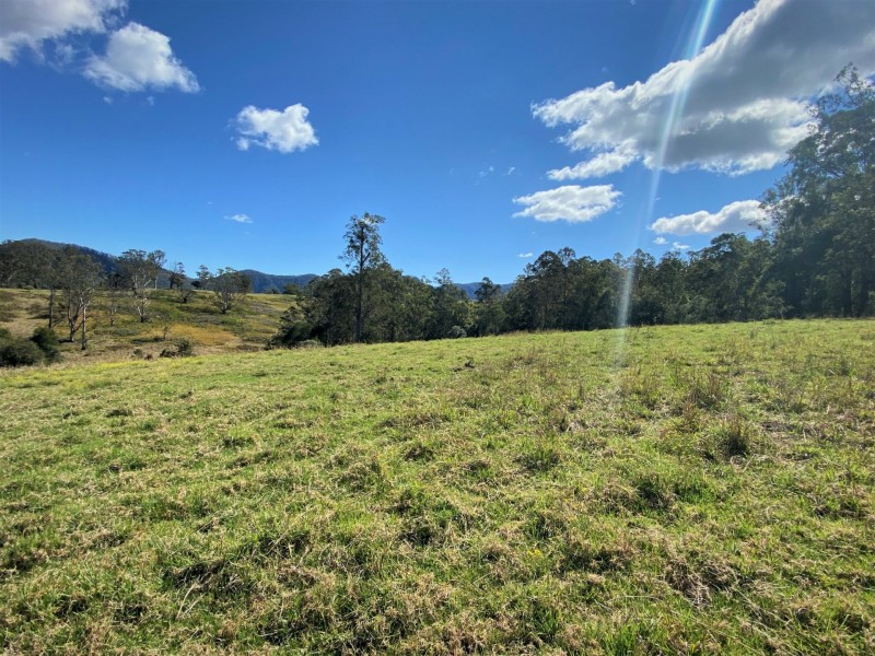 Lot 8 Alfred Road, Killabakh NSW 2429