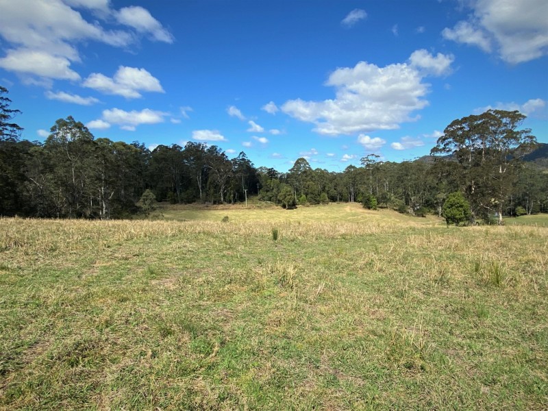 Lot 8 Alfred Road, Killabakh NSW 2429