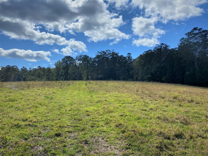 Lot 8 Alfred Road, Killabakh NSW 2429