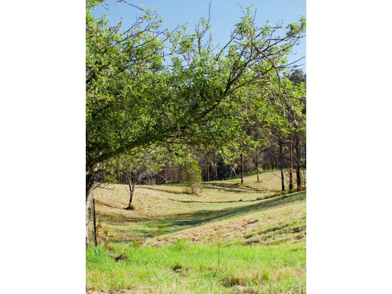 Lot 2, 423 Padmans Road, Elands NSW 2429