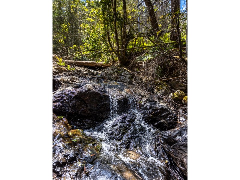 Lot 2, 423 Padmans Road, Elands NSW 2429