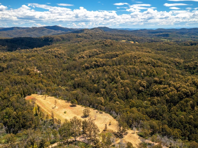 Lot 2, 423 Padmans Road, Elands NSW 2429