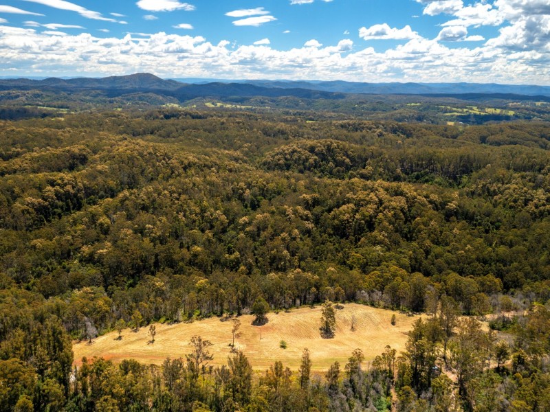 Lot 2, 423 Padmans Road, Elands NSW 2429