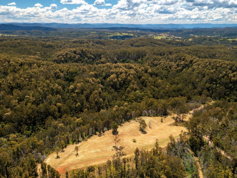 Lot 2/423 Padmans Road, Elands NSW 2429