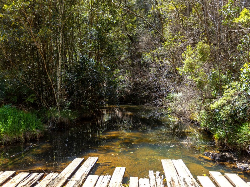 Lot 2/423 Padmans Road, Elands NSW 2429