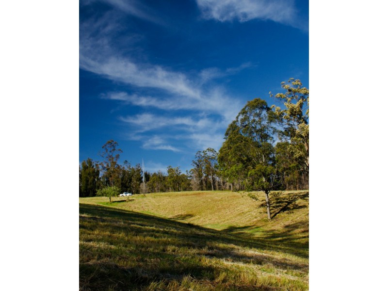 Lot 2/423 Padmans Road, Elands NSW 2429