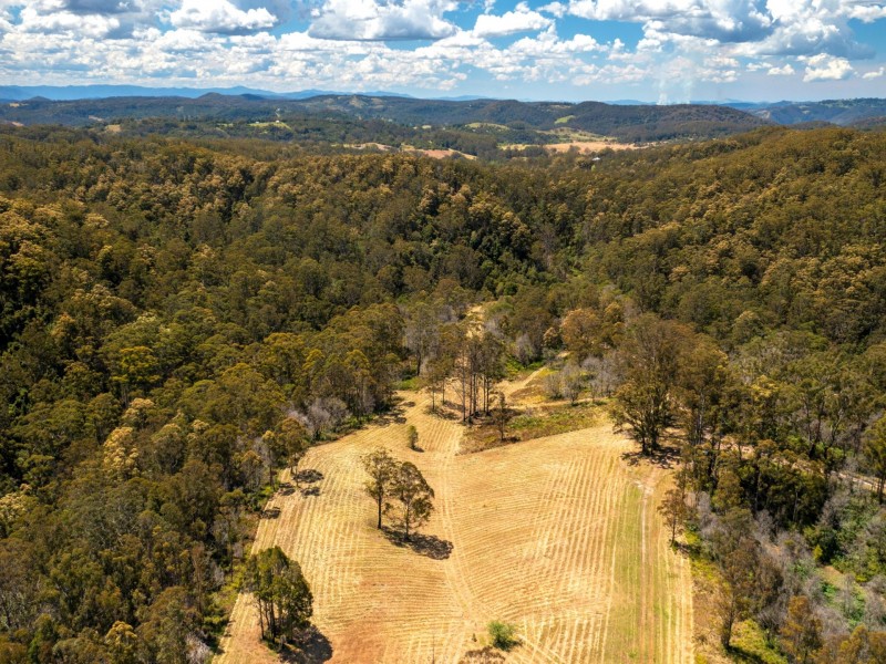 Lot 2/423 Padmans Road, Elands NSW 2429