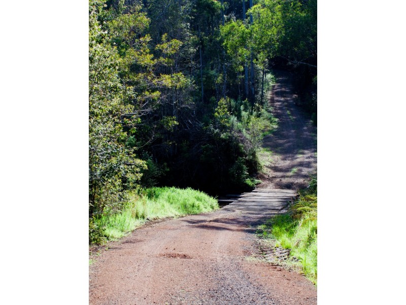 Lot 2/423 Padmans Road, Elands NSW 2429