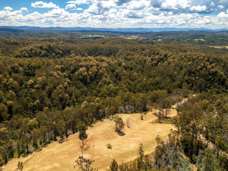 Lot 2/423 Padmans Road, Elands NSW 2429