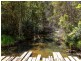 Lot 2/423 Padmans Road, Elands NSW 2429