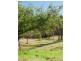 Lot 2/423 Padmans Road, Elands NSW 2429