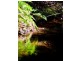Lot 2/423 Padmans Road, Elands NSW 2429
