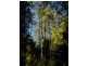 Lot 2/423 Padmans Road, Elands NSW 2429